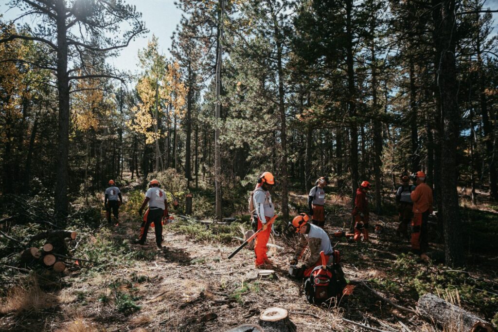 volunteers in forest practicing wildfire mitigation strategies